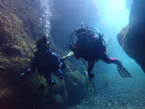 山口県青海島の海で潜るWITHのダイバー