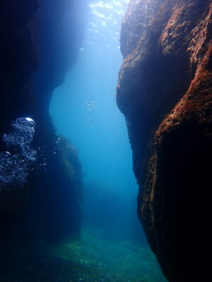 山口県青海島、青の洞窟でダイビングするWITH山口のダイバーの写真