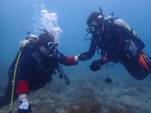 夫婦で山口、青海島でダイビングしているWITHダイバーの写真