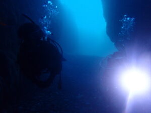 山口県青海島の青の洞窟を潜るWITHダイバーの写真