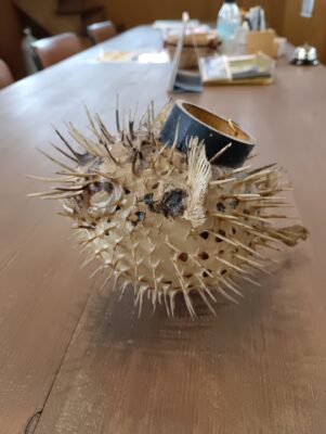 ハリセンボンのフグ提灯