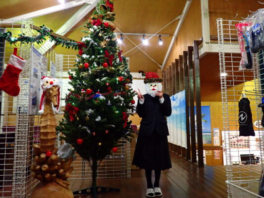 クリスマスフォトスポット🎄