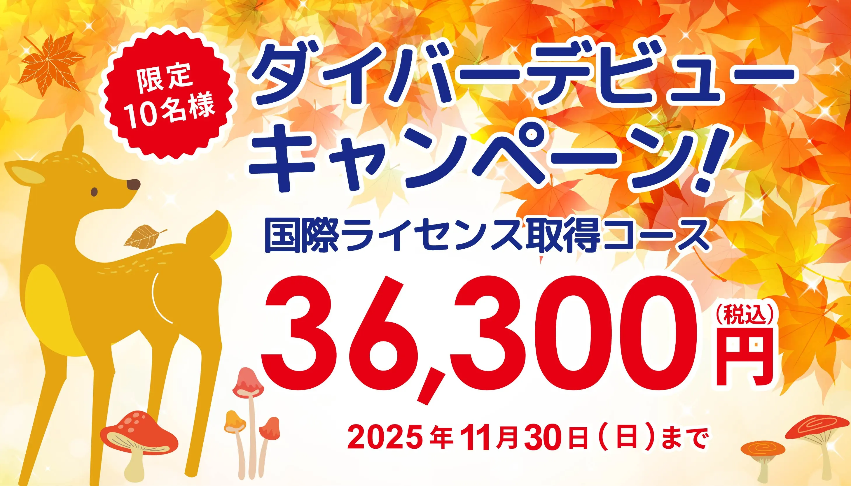 ダイビングライセンス